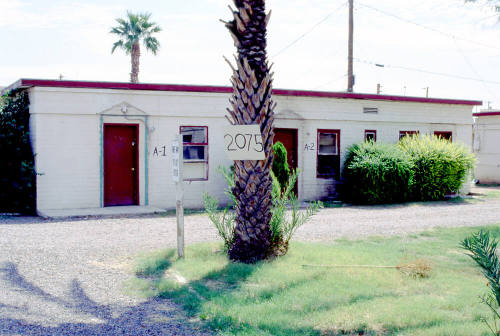 Polar Bear Court, 2075 E. Apache Blvd.