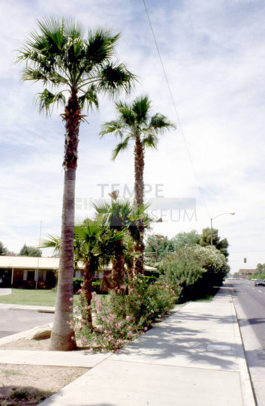 El Camino Dr. and Broadway Rd.