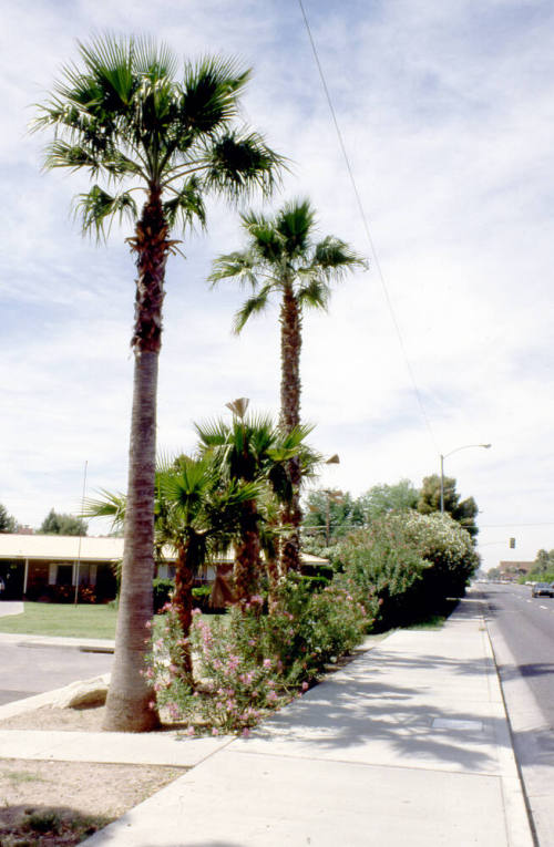 El Camino Dr. and Broadway Rd.