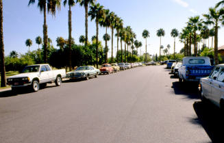 Encanto Drive  and Northside of Daley Park