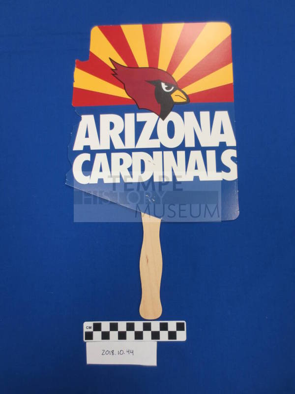 Arizona Cardinals Fan