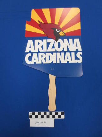 Arizona Cardinals Fan