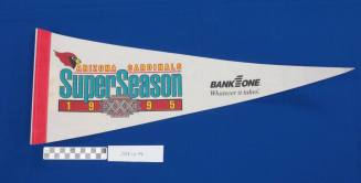 Arizona Cardinals Super Season 1995 Pennant