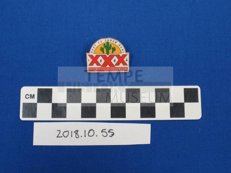 Super Bowl XXX Pin
