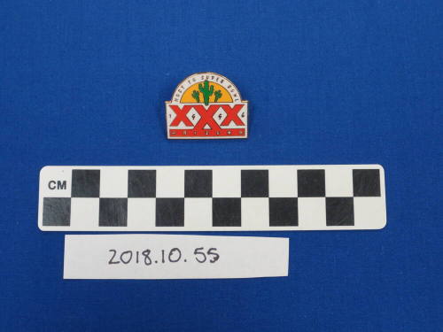 Super Bowl XXX Pin