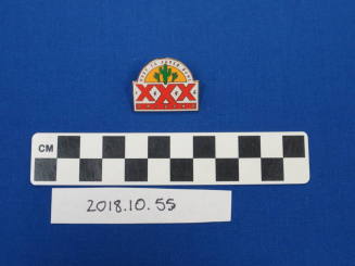 Super Bowl XXX Pin