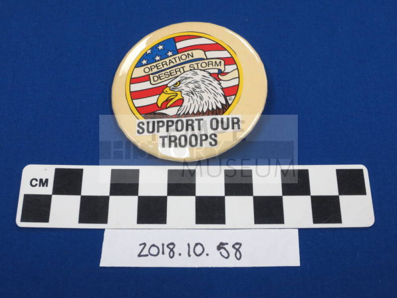 Support Our Troops - Operation Desert Storm Pin
