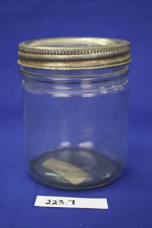 Preserving Jar