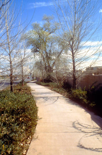 Sidewalk and Landscape, Cottonwoods, 6411 S. River Dr.
