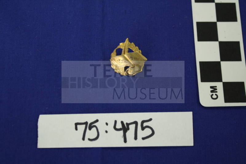 Tempe public school pin