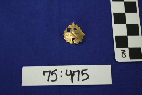 Tempe public school pin