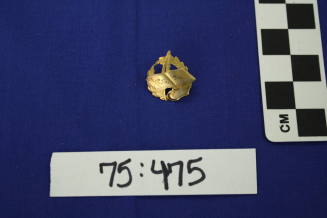 Tempe public school pin