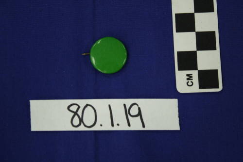Plastic button