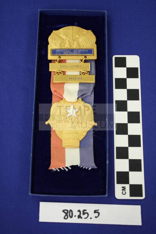 Carly Hayden Democratic National Convention ribbon