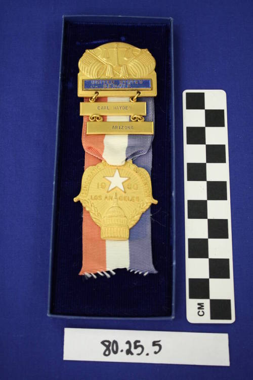 Carly Hayden Democratic National Convention ribbon