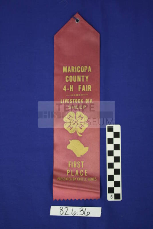 Ribbon - 1st Place Livestock (Sheep)