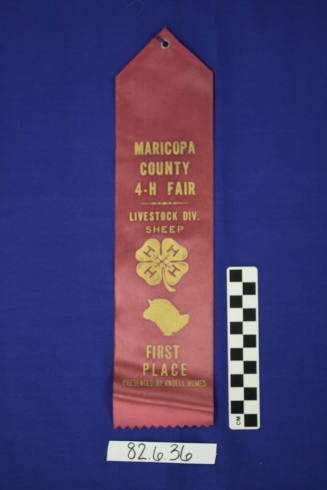 Ribbon - 1st Place Livestock (Sheep)