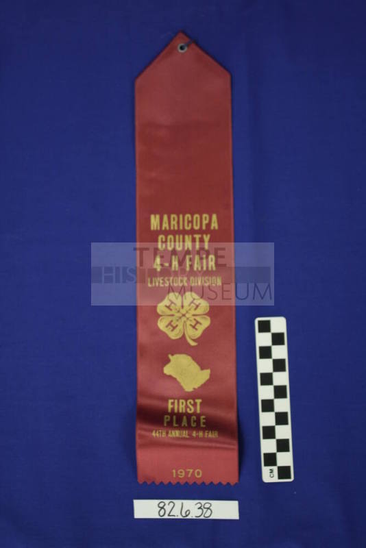 Ribbon - 1st Place Livestock (Sheep)