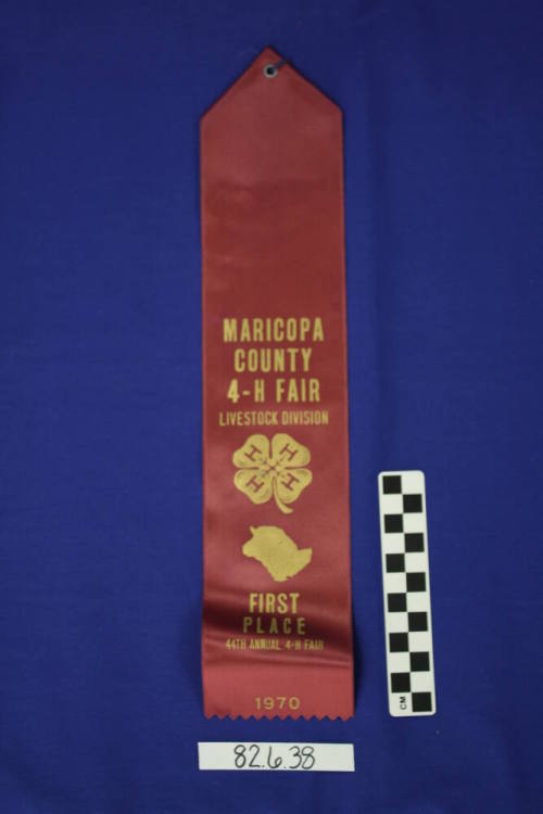 Ribbon - 1st Place Livestock (Sheep)
