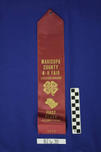 Ribbon - 1st Place Livestock (Sheep)