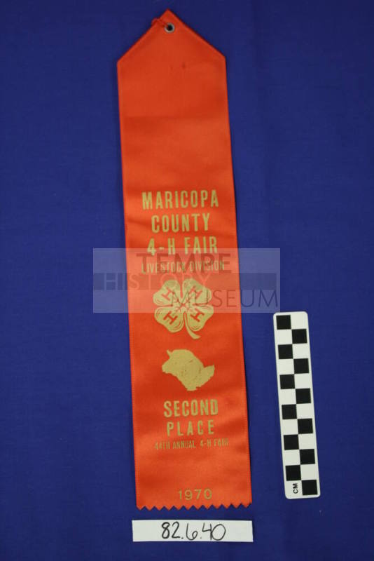 Ribbon - 2nd Place Livestock