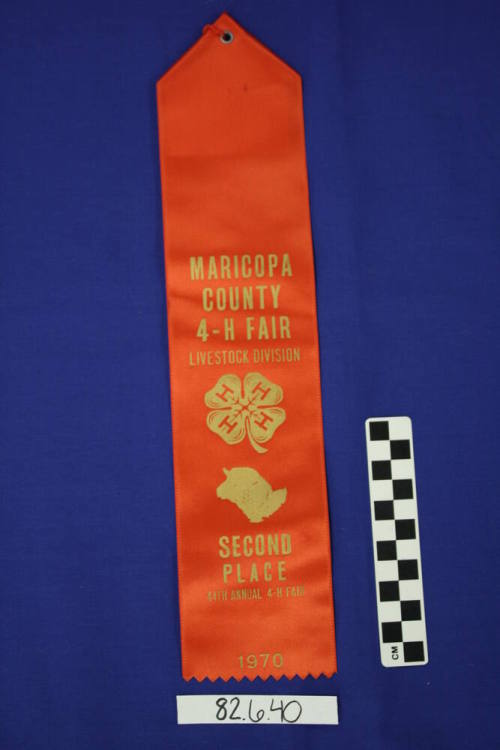 Ribbon - 2nd Place Livestock