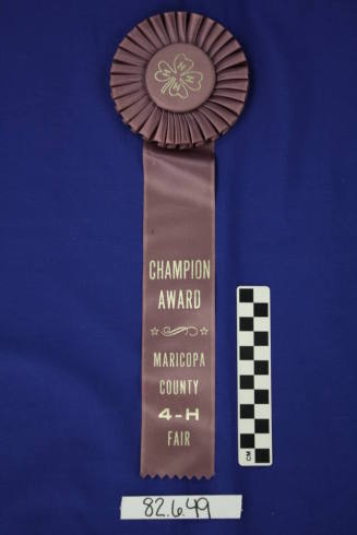 Ribbon - 4H Champion Award