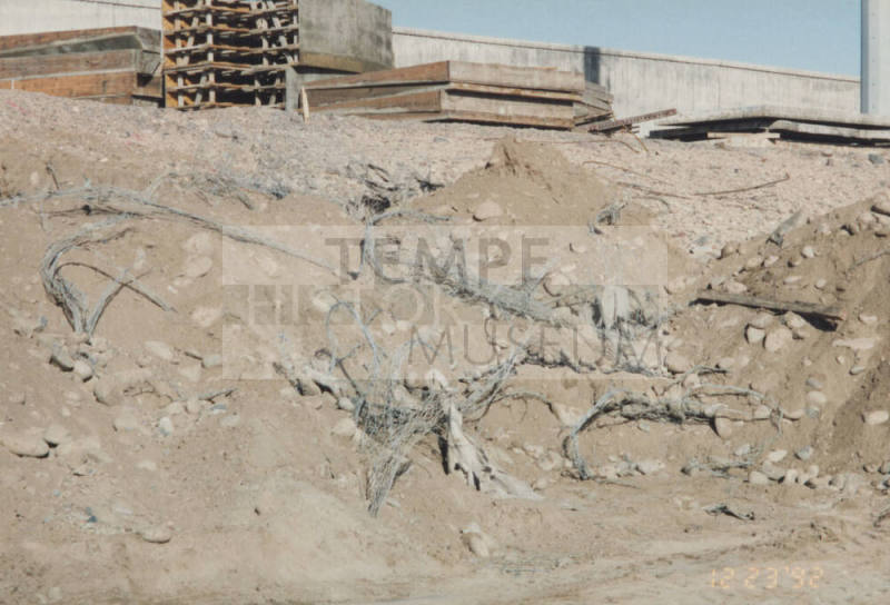 Span #9 - Removal of Rp for Falsework Footers
