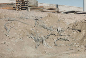 Span #9 - Removal of Rp for Falsework Footers
