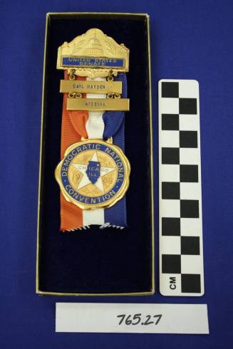 Democratic National Convention Political Ribbon