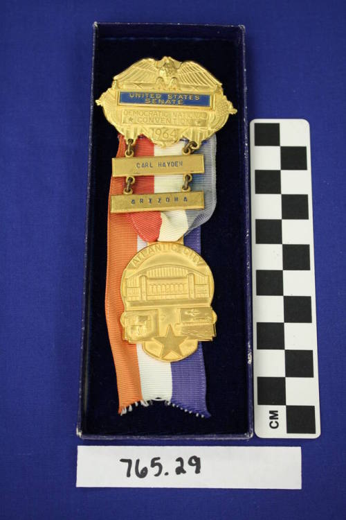 Democratic National Convention Political Ribbon