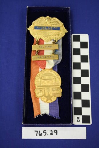 Democratic National Convention Political Ribbon