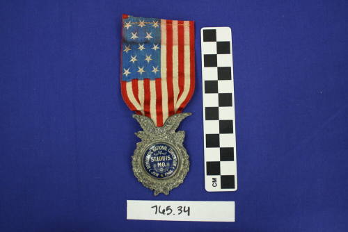Democratic National Convention Political Ribbon