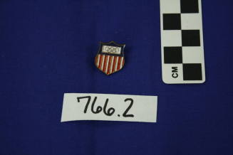 Commemorative Olympic Pin