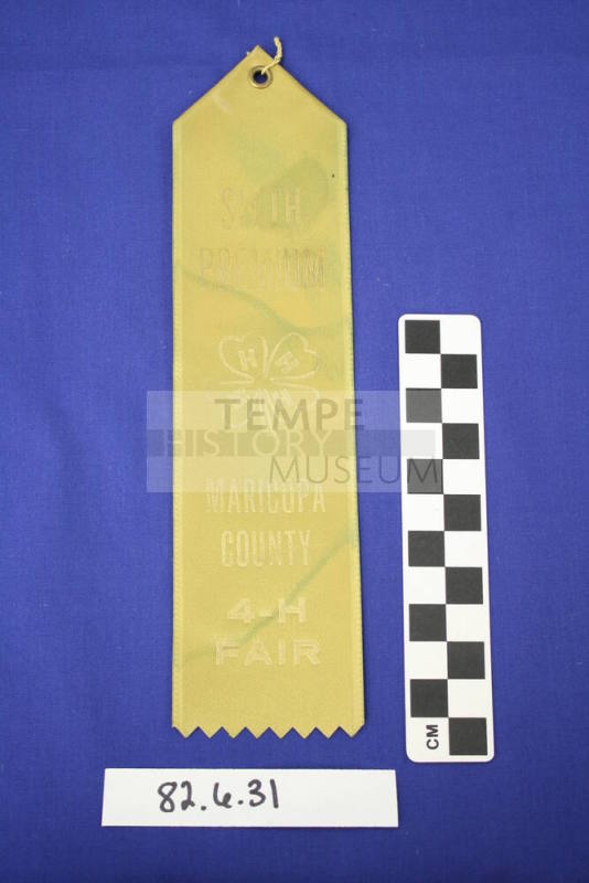 Ribbon