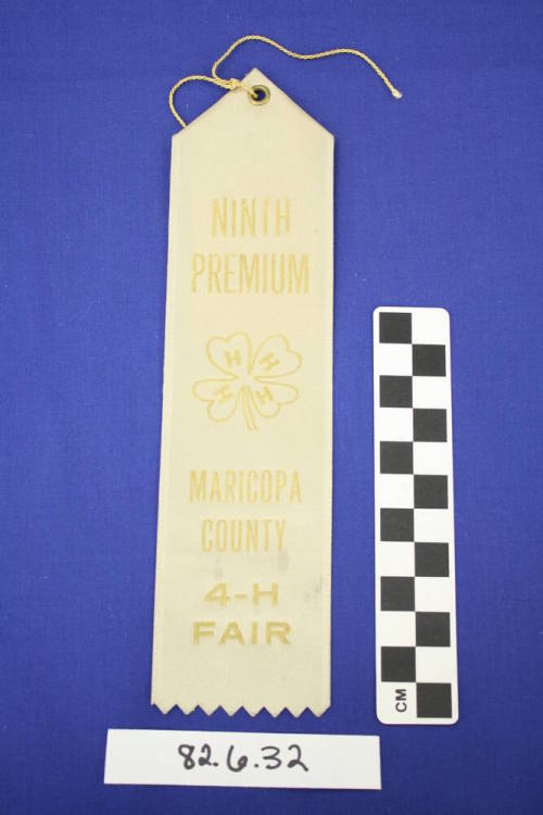 Prize Ribbon
