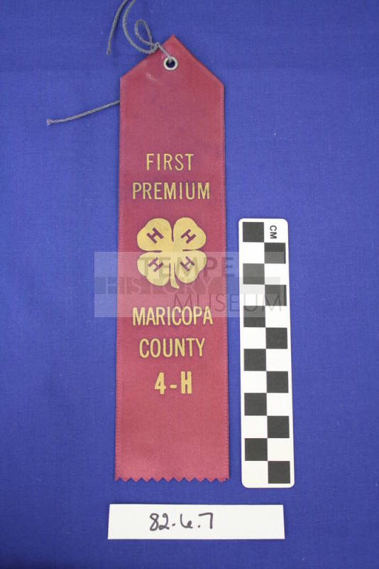 Ribbon