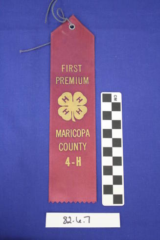 Ribbon