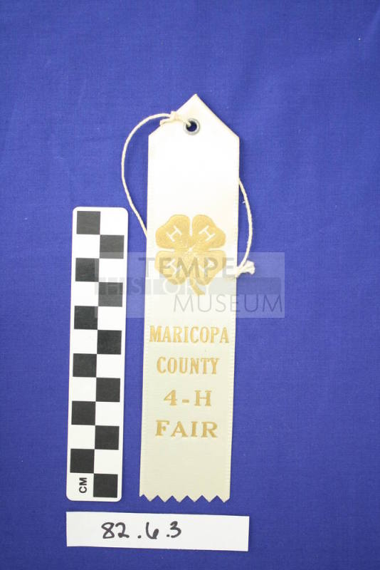 Prize Ribbon