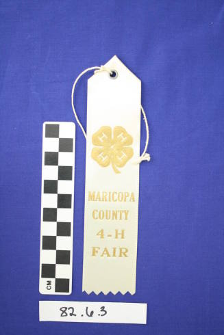 Prize Ribbon
