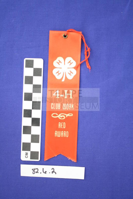 Prize Ribbon