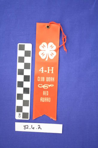 Prize Ribbon