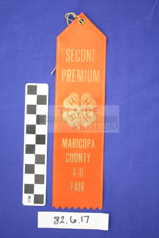 Prize Ribbon