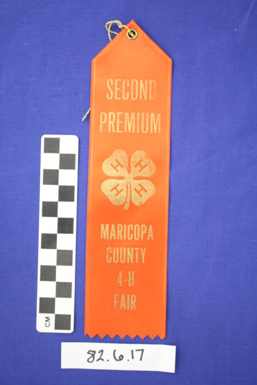 Prize Ribbon