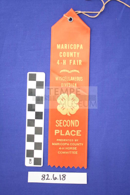 Prize Ribbon