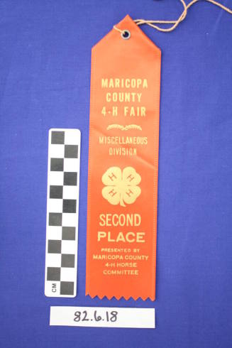 Prize Ribbon