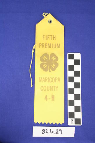 Prize Ribbon