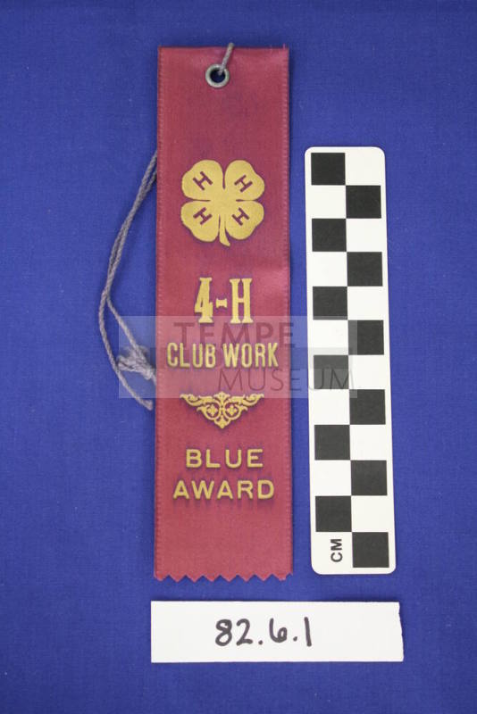 Prize Ribbon