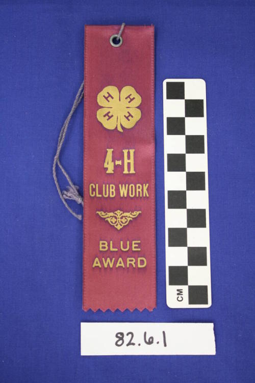 Prize Ribbon