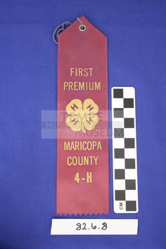 Ribbon